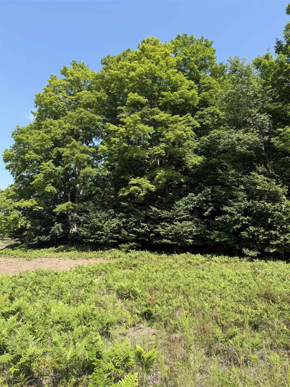 963 Backcountry Drive East Bay Township, MI 49696