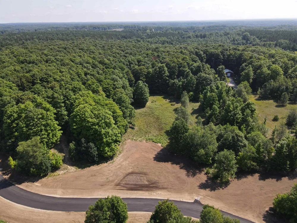 963 Backcountry Drive East Bay Township, MI 49696
