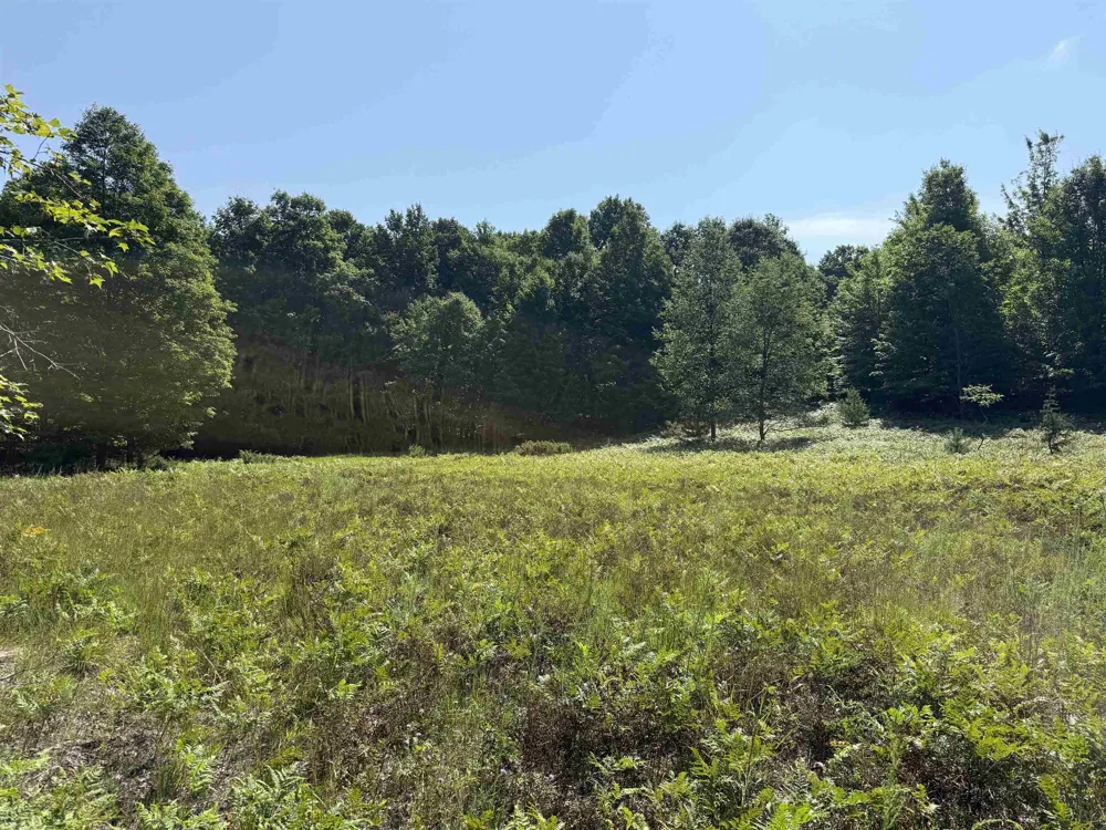 963 Backcountry Drive East Bay Township, MI 49696