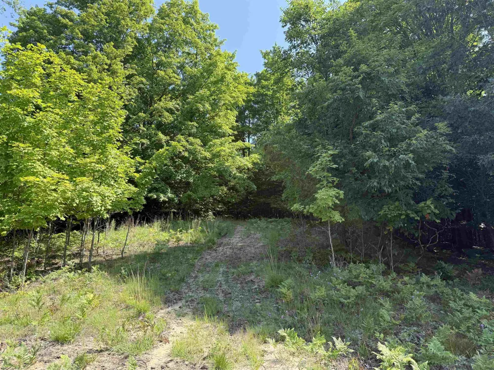820 Backcountry Drive East Bay Township, MI 49696