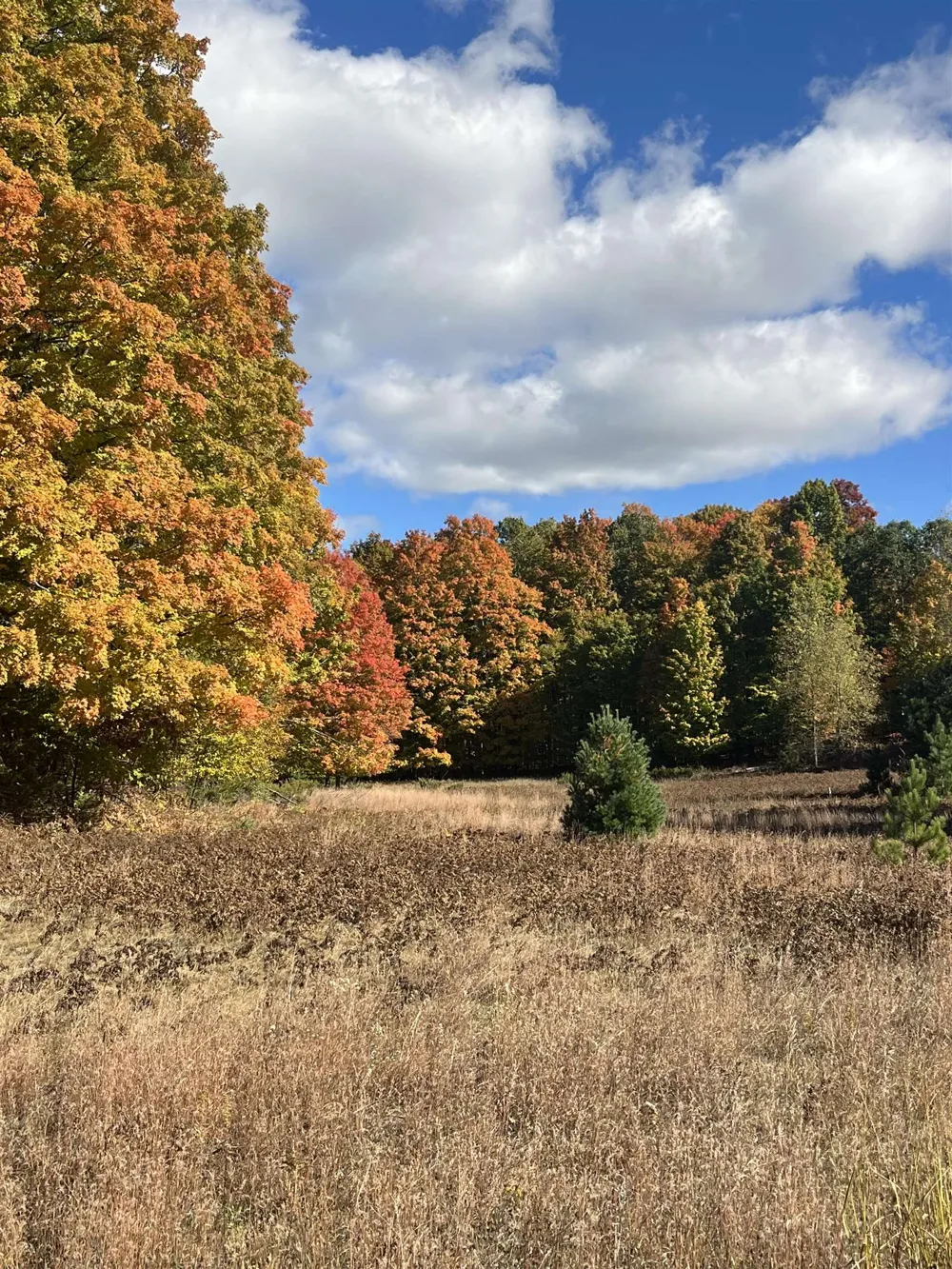 820 Backcountry Drive East Bay Township, MI 49696