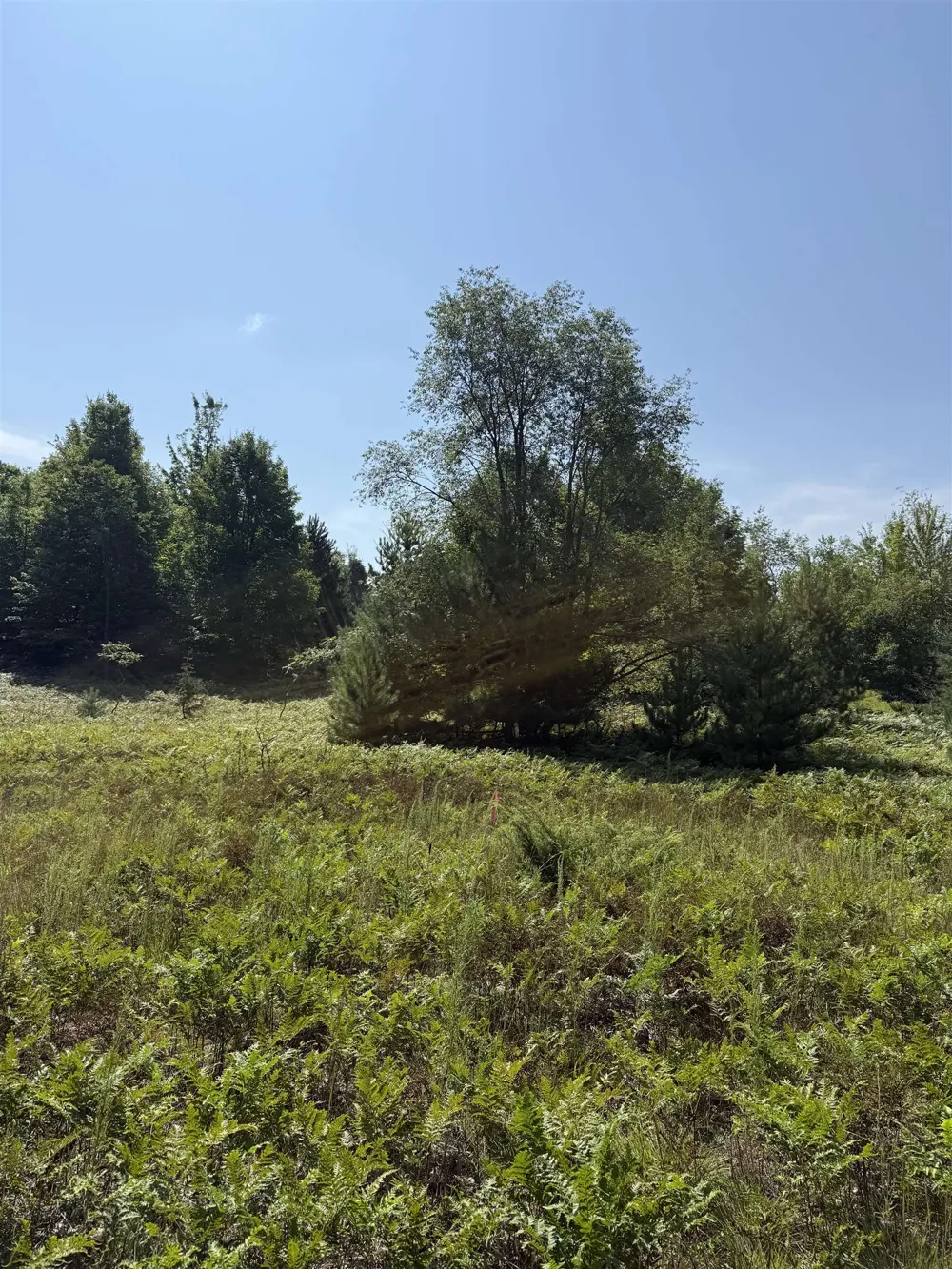 820 Backcountry Drive East Bay Township, MI 49696