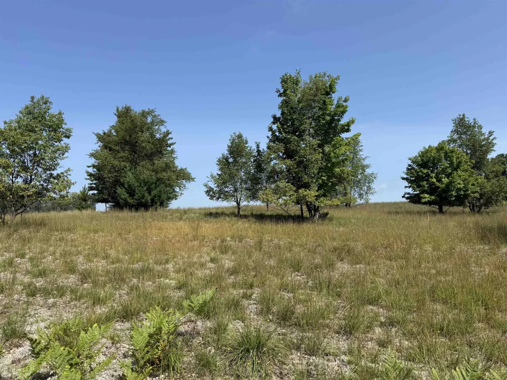 820 Backcountry Drive East Bay Township, MI 49696