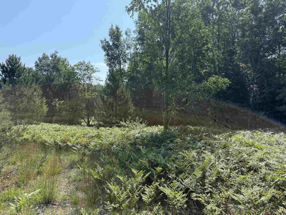 820 Backcountry Drive East Bay Township, MI 49696