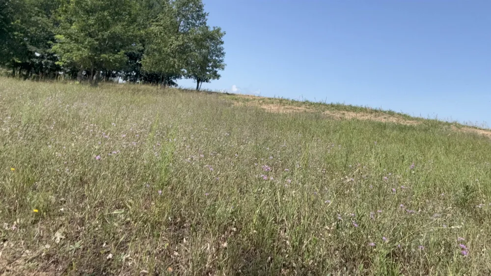 820 Backcountry Drive East Bay Township, MI 49696