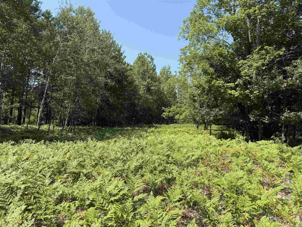 896 Backcountry Drive East Bay Township, MI 49696