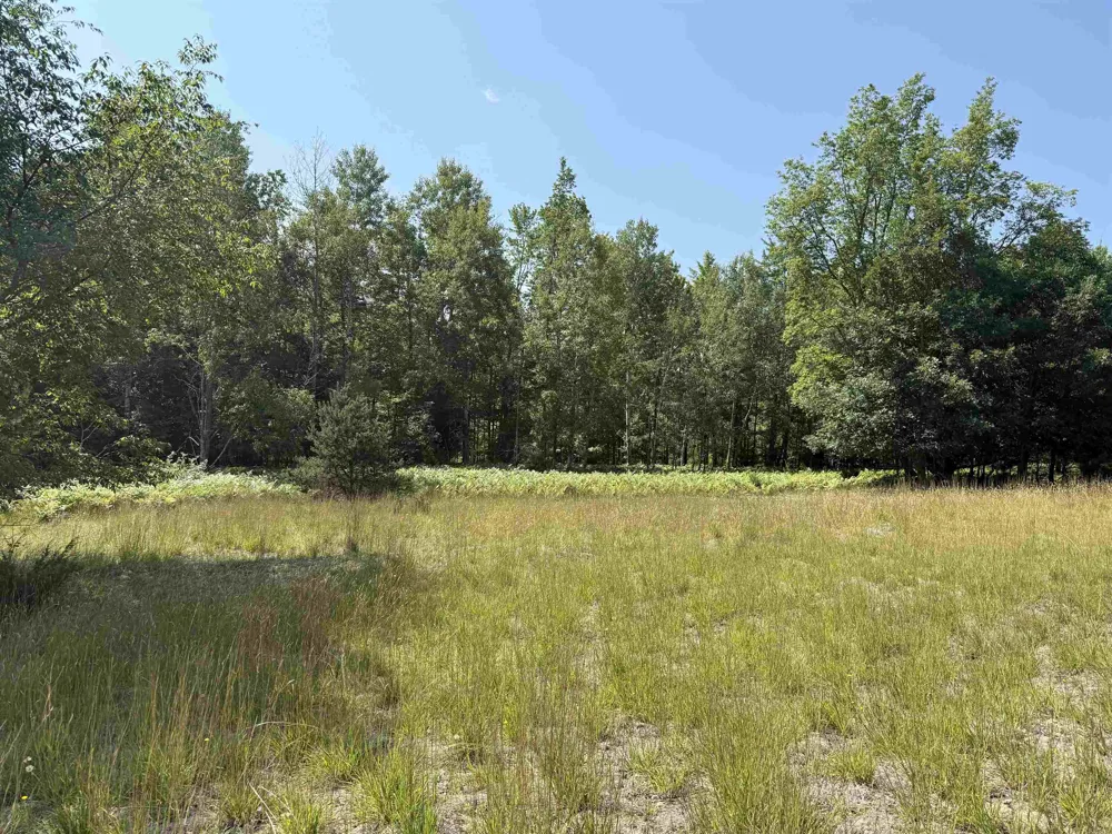 896 Backcountry Drive East Bay Township, MI 49696