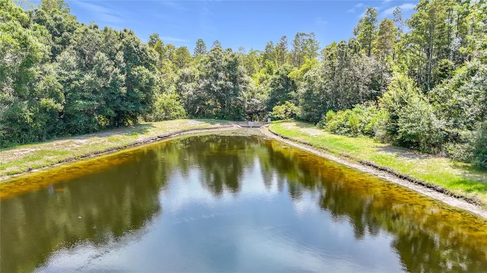 5014 BRIDGEWAY LANE Lutz, FL 33558