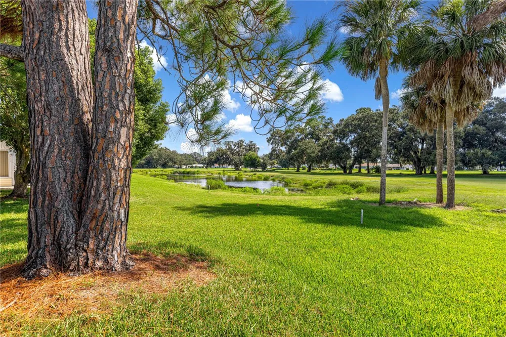 17873 SE 99TH AVENUE Summerfield, FL 34491