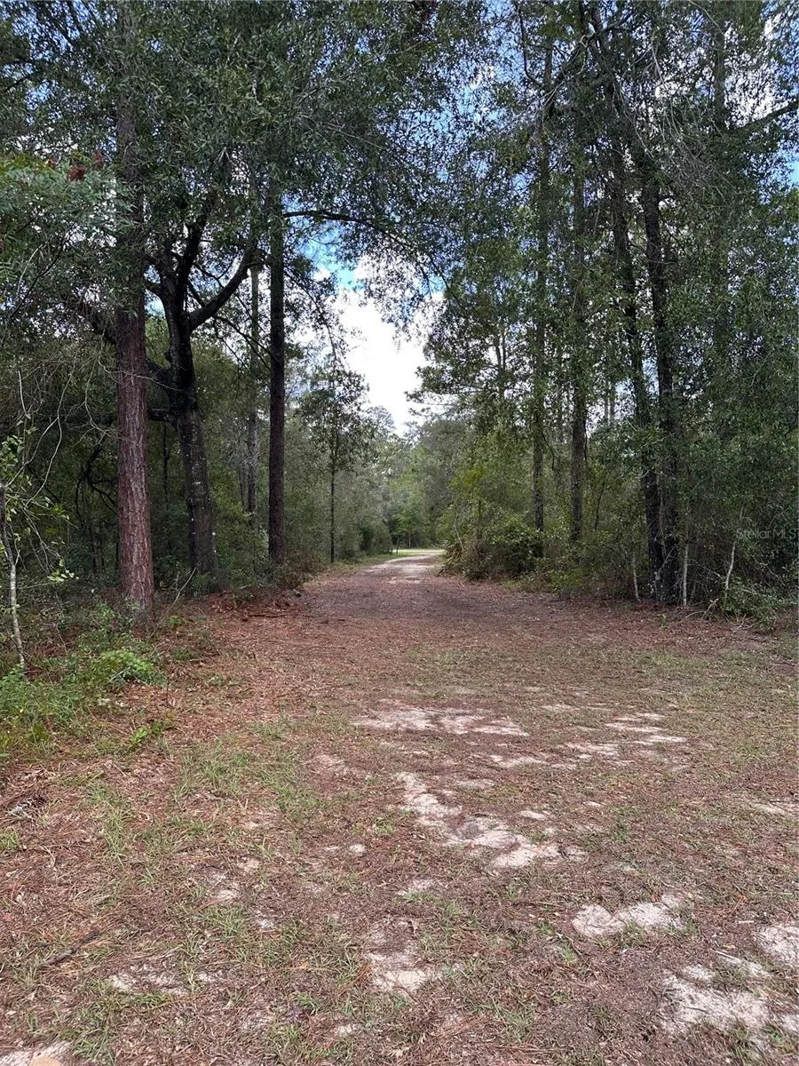 0 NE 127TH COURT Williston, FL 32696