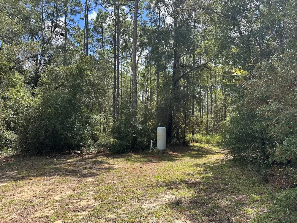 0 NE 127TH COURT Williston, FL 32696