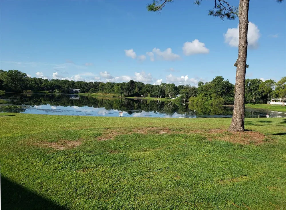 22706 GAGE LOOP #33 Land O Lakes, FL 34639