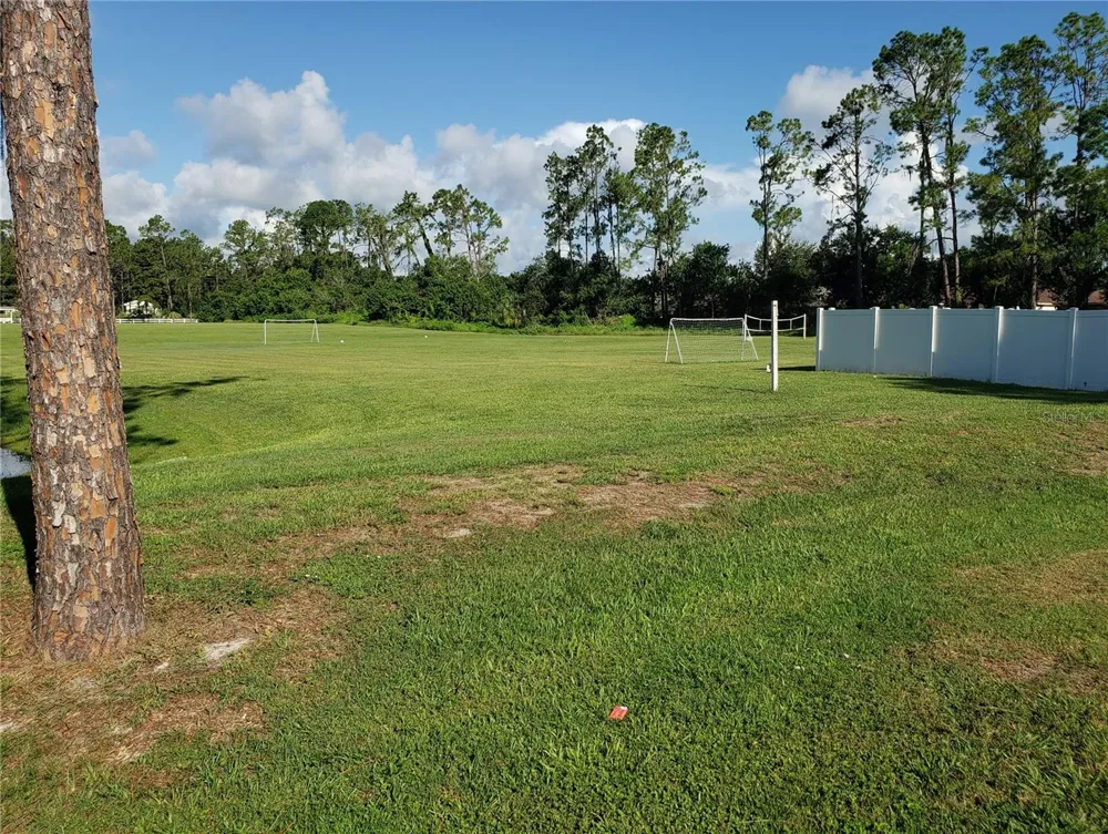 22706 GAGE LOOP #33 Land O Lakes, FL 34639