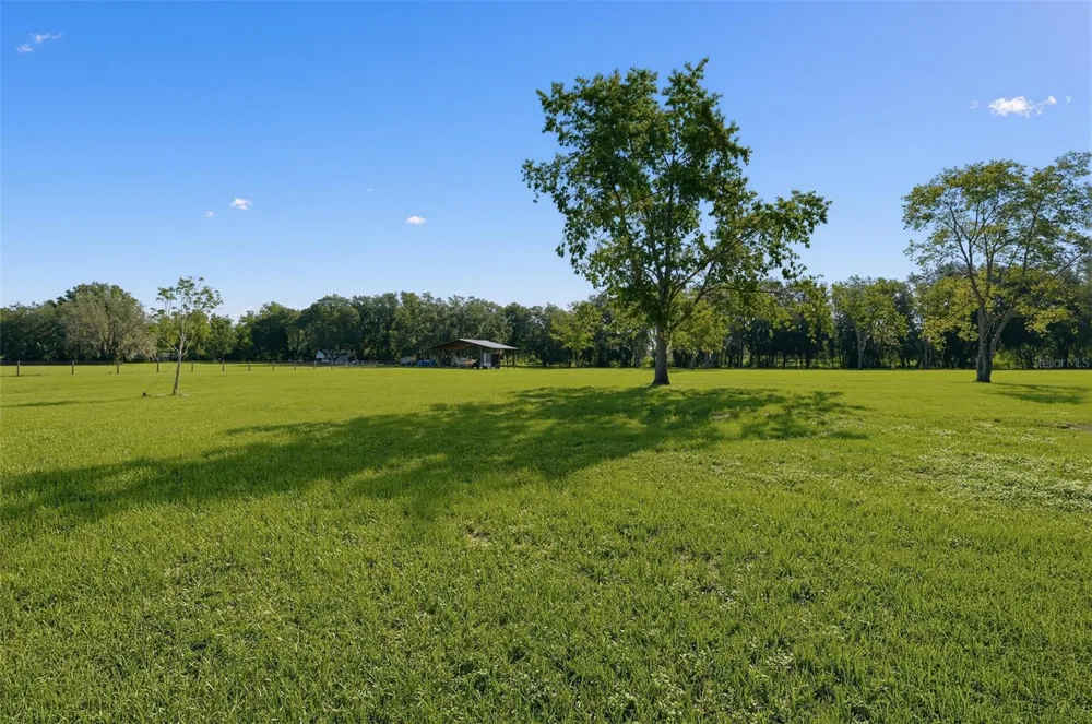 4650 LAKE PICKETT DRIVE Groveland, FL 34736