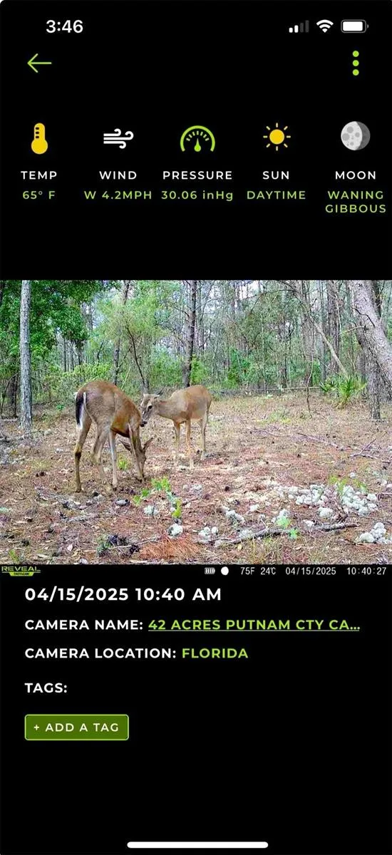 OLD BELLAMY TRAIL Melrose, FL 32666