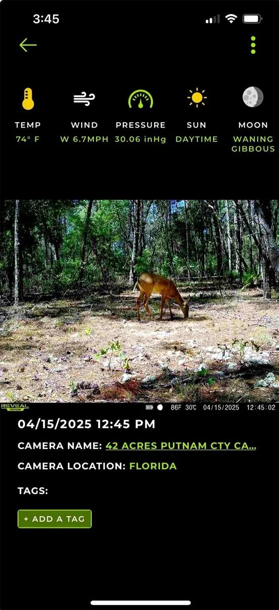 OLD BELLAMY TRAIL Melrose, FL 32666