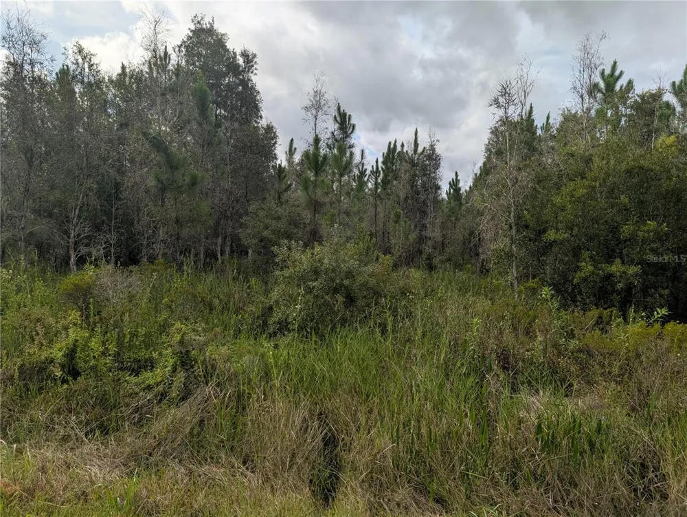 MEADOWLARK BOULEVARD Indian Lake Estates, FL 33855