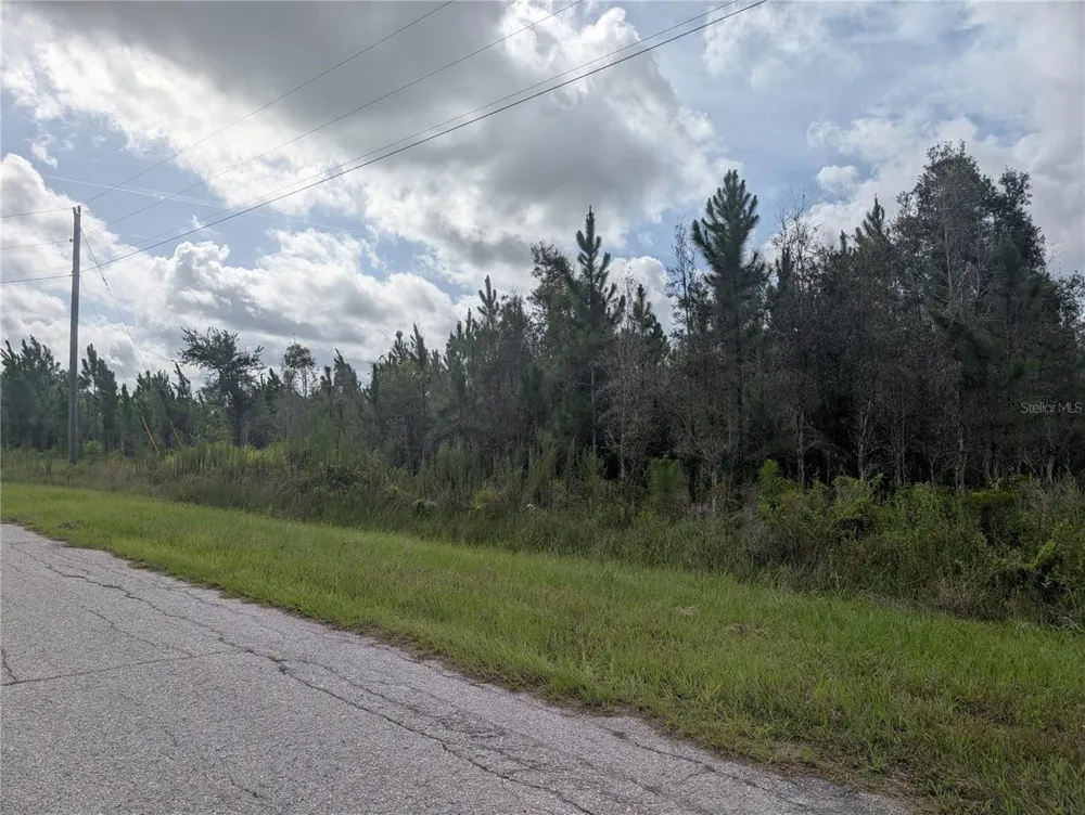 MEADOWLARK BOULEVARD Indian Lake Estates, FL 33855