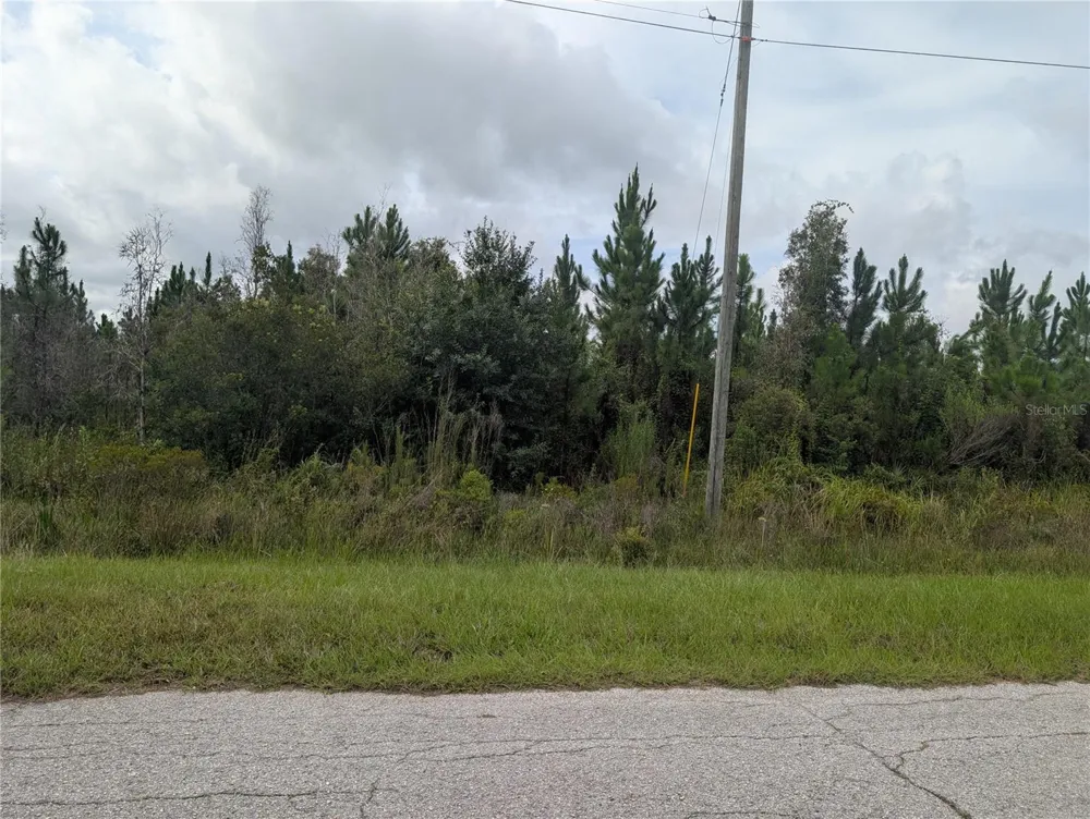 MEADOWLARK BOULEVARD Indian Lake Estates, FL 33855