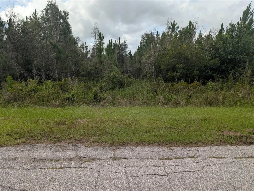 MEADOWLARK BOULEVARD Indian Lake Estates, FL 33855