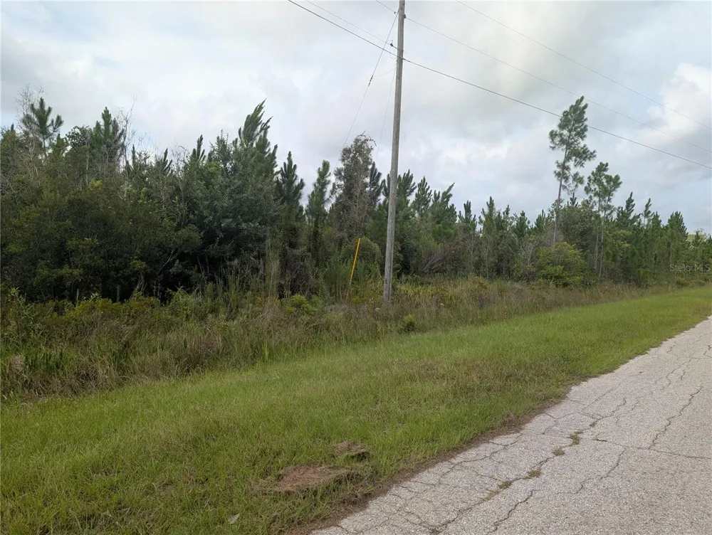 MEADOWLARK BOULEVARD Indian Lake Estates, FL 33855