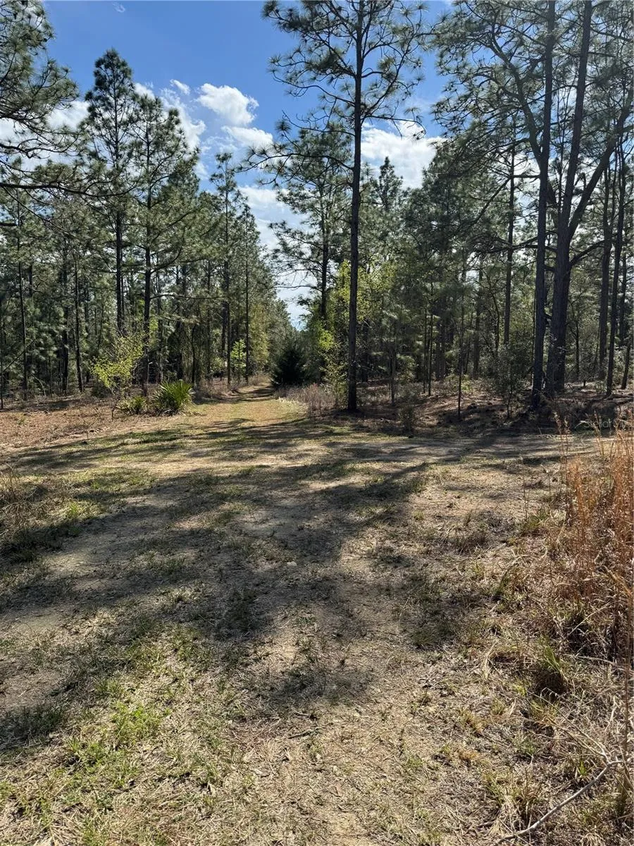 SW 156TH COURT ocala, FL 34481