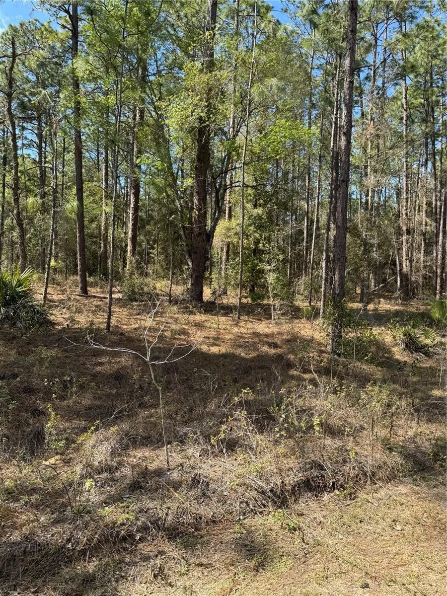 SW 156TH COURT ocala, FL 34481
