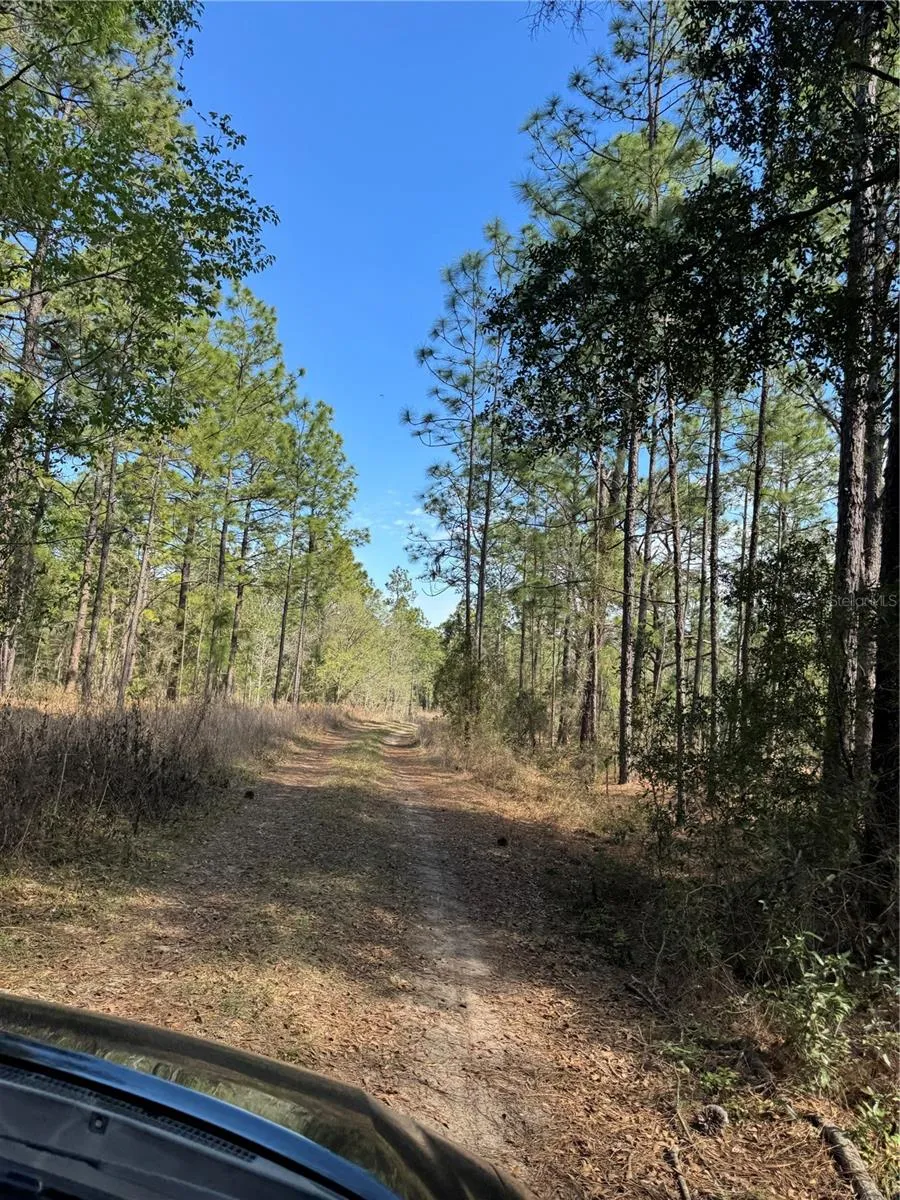 SW 156TH COURT ocala, FL 34481