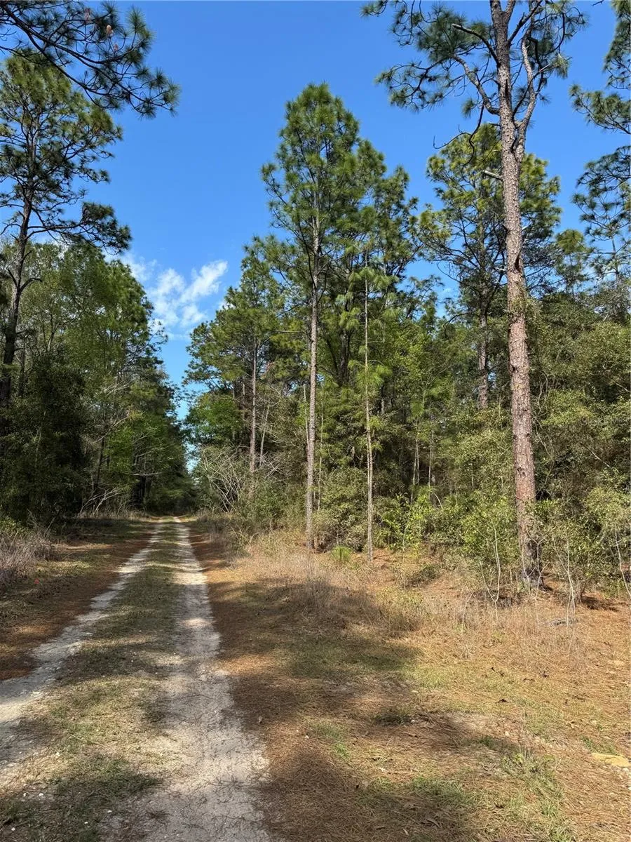 SW 156TH COURT ocala, FL 34481