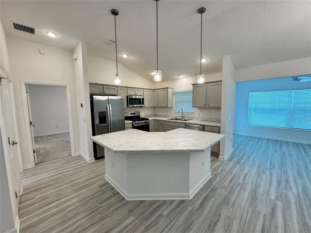 528 CHERRY CREEK WAY The Villages, FL 34762