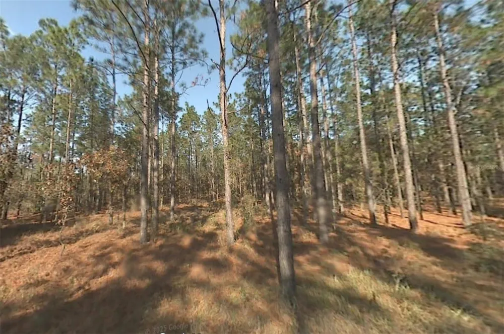 00 SW 39TH STREET Dunnellon, FL 34432