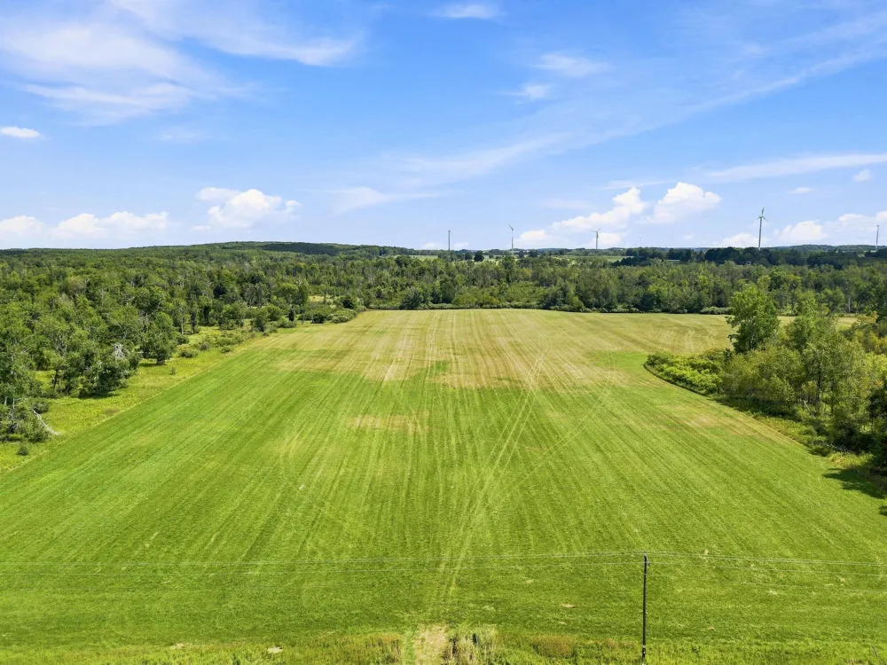 W Woodruff Road Weidman, MI 48893