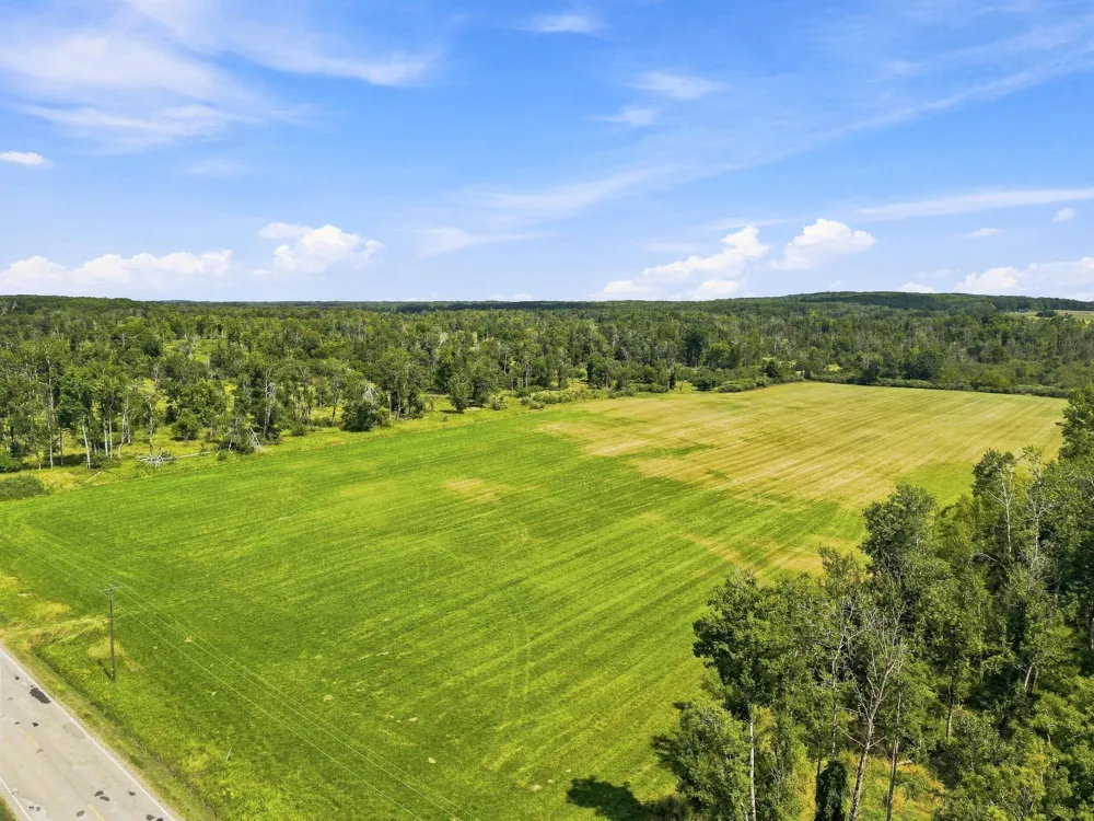 W Woodruff Road Weidman, MI 48893