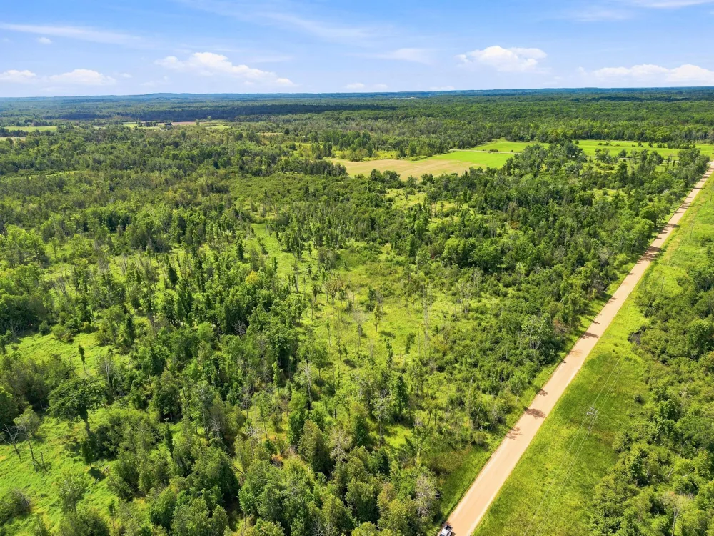 W Woodruff Road Weidman, MI 48893