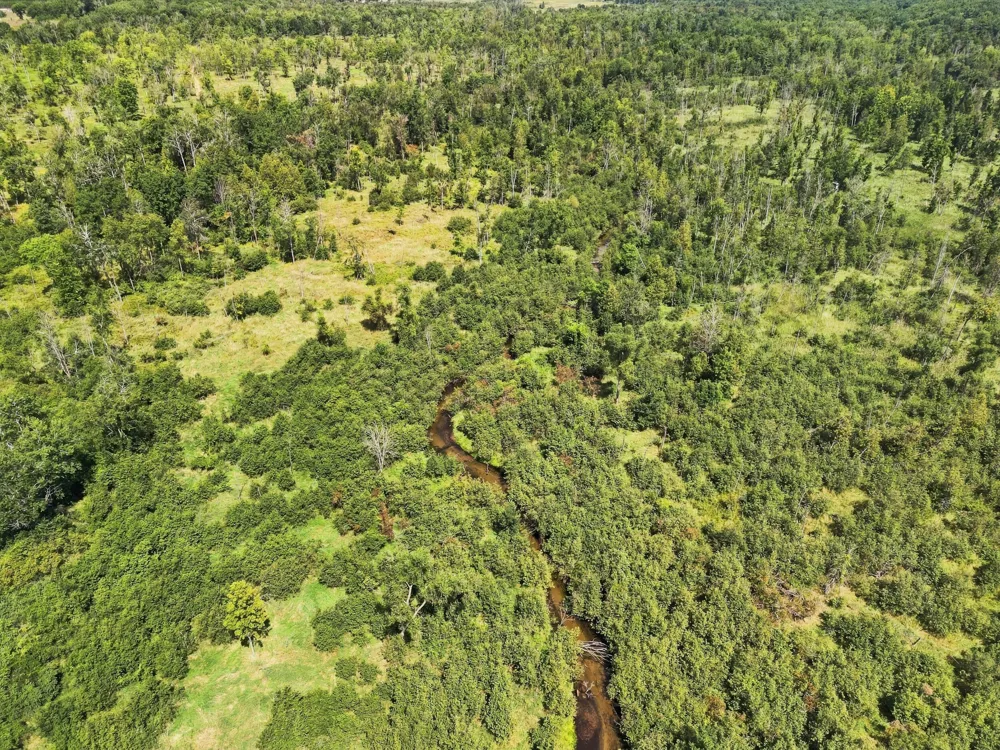 W Woodruff Road Weidman, MI 48893