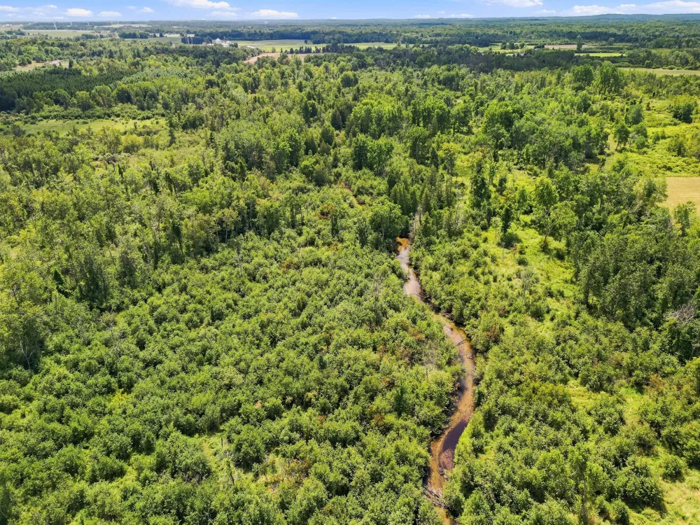 W Woodruff Road Weidman, MI 48893