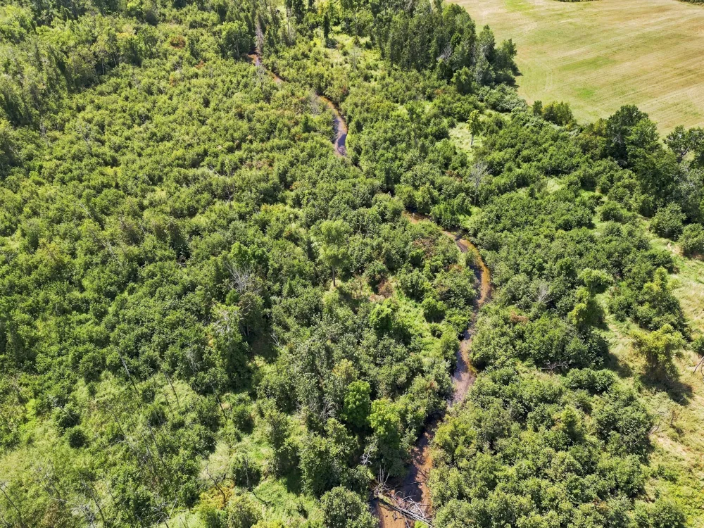 W Woodruff Road Weidman, MI 48893