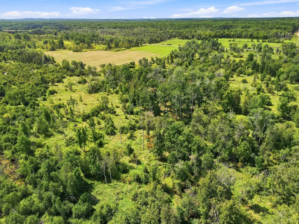 W Woodruff Road Weidman, MI 48893