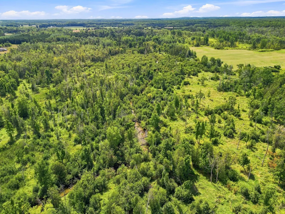 W Woodruff Road Weidman, MI 48893