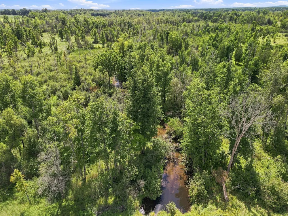 W Woodruff Road Weidman, MI 48893