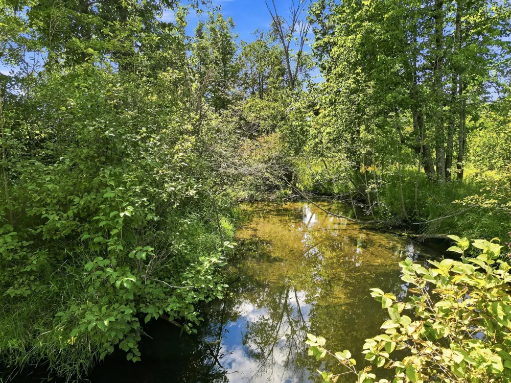 W Woodruff Road Weidman, MI 48893