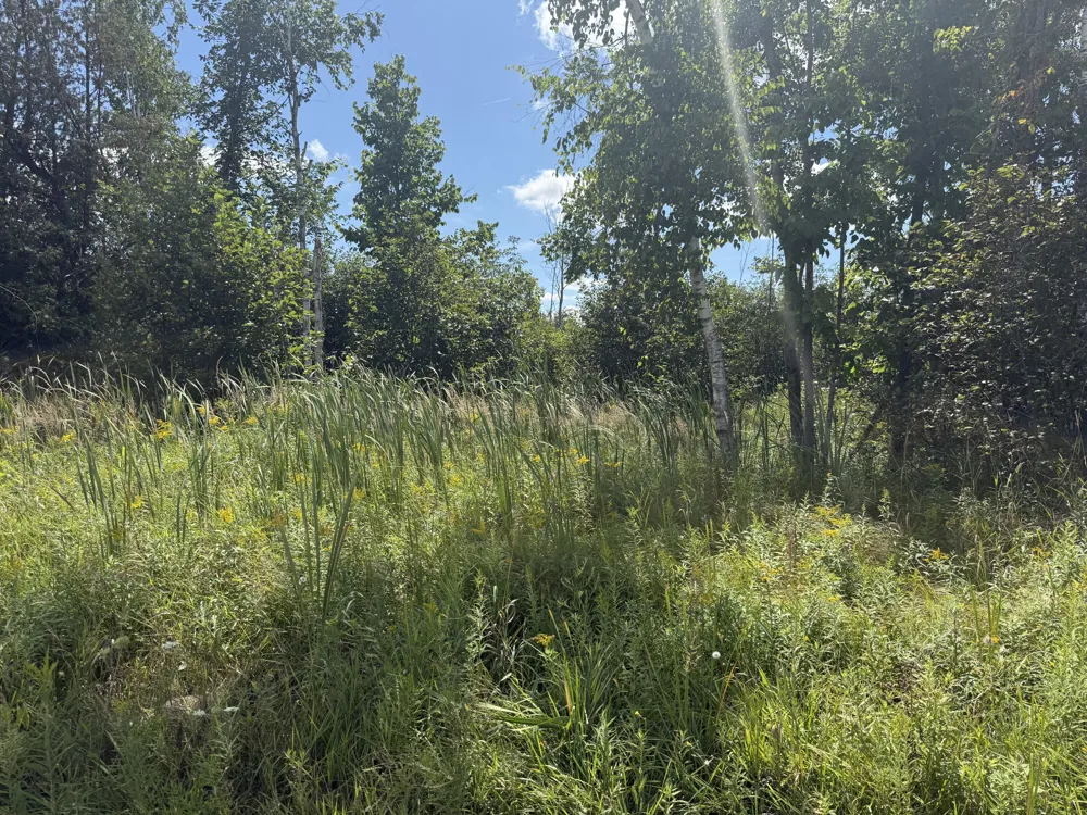 W Woodruff Road Weidman, MI 48893
