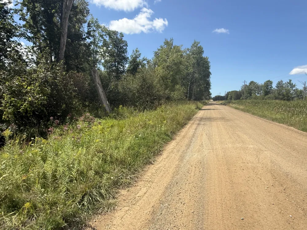 W Woodruff Road Weidman, MI 48893