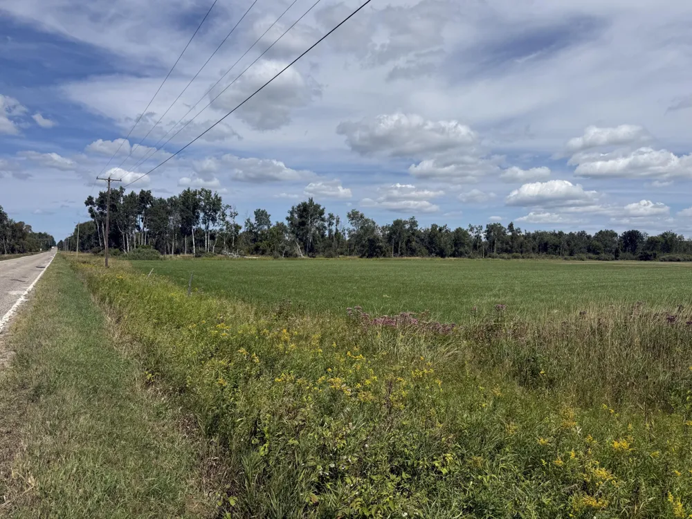 W Woodruff Road Weidman, MI 48893