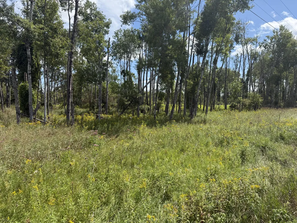 W Woodruff Road Weidman, MI 48893