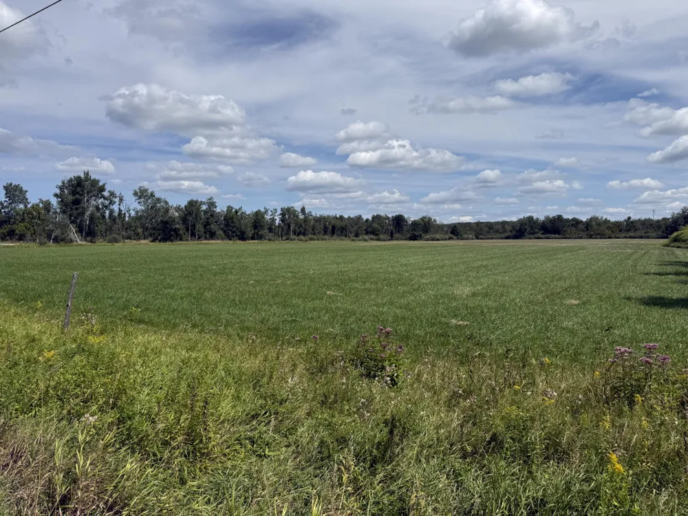 W Woodruff Road Weidman, MI 48893