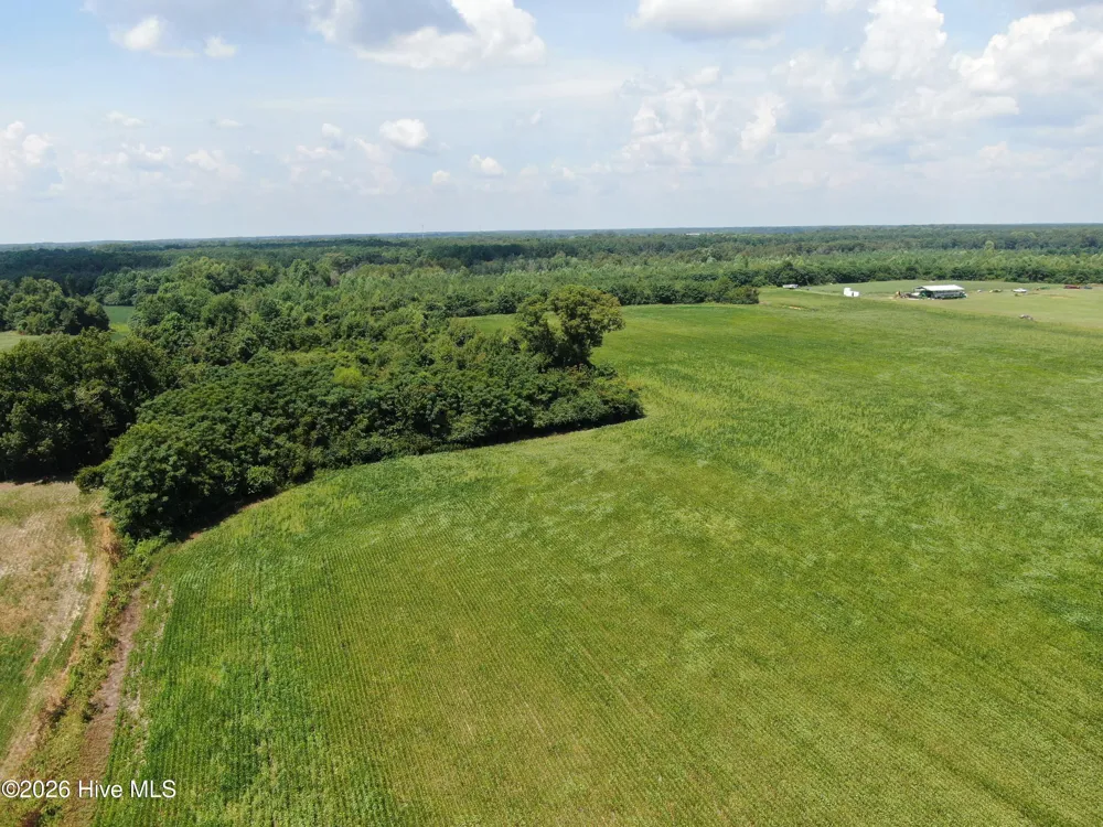 Tbd Fairgrove Road Fairmont, NC 28340