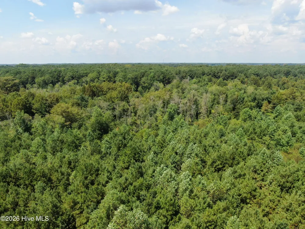 Tbd Fairgrove Road Fairmont, NC 28340