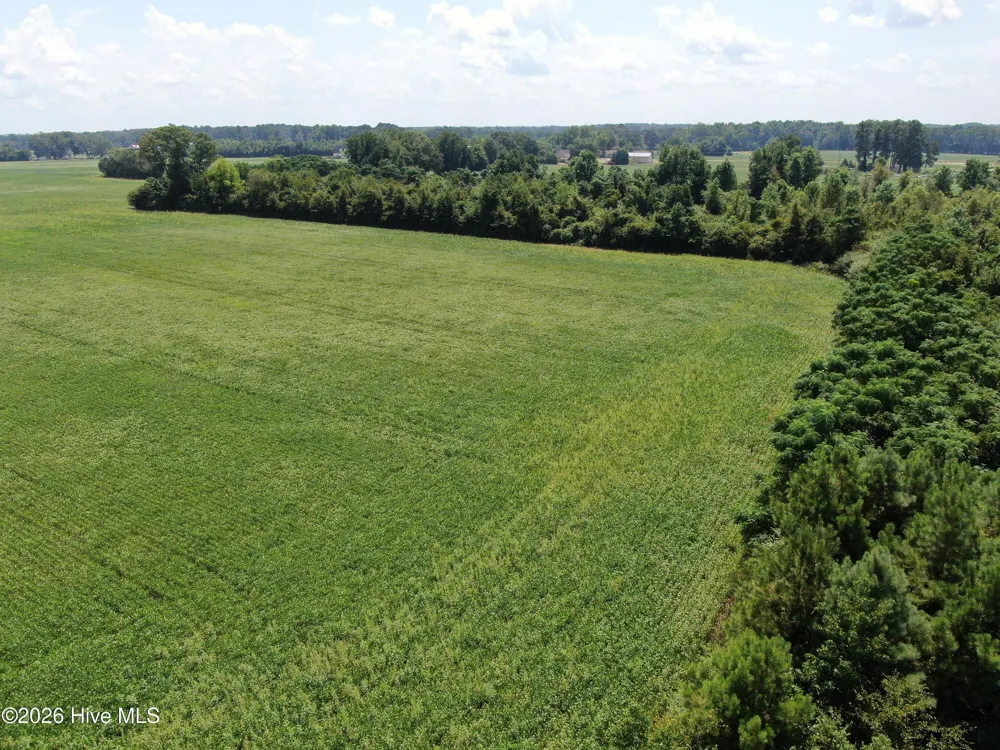 Tbd Fairgrove Road Fairmont, NC 28340