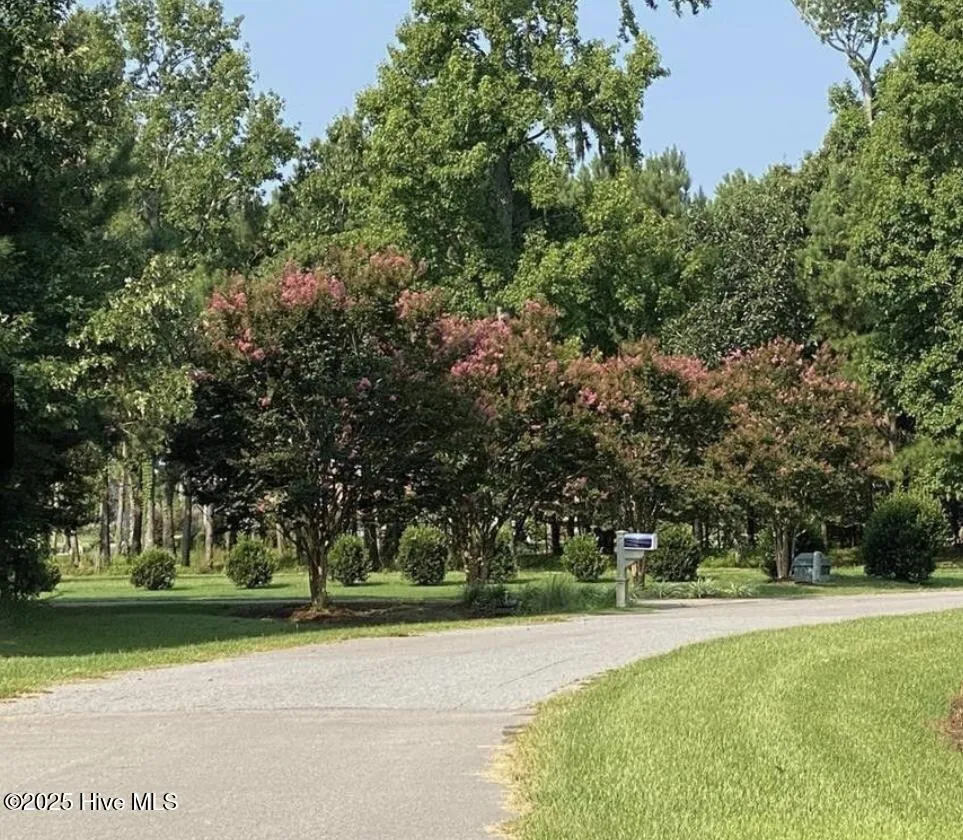 214 Osprey Drive Edenton, NC 27932